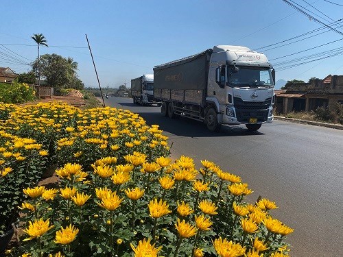 VÌ SAO QUY NHƠN ĐANG TRỞ THÀNH TRUNG TÂM LOGISTICS MỚI CỦA KHU VỰC?