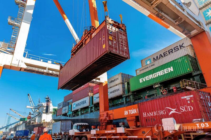 Đất nền trên trục Quốc lộ 19 Quy Nhơn: “Mỏ vàng” logistics hay bẫy tâm lý đầu tư?